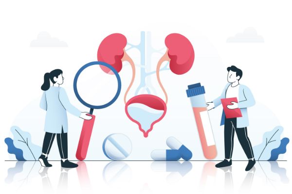 Catéteres Urológicos: Tipos, Usos y Recomendaciones para su Aplicación Clínica Segura