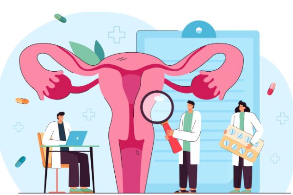 equipamiento ginecológico moderno